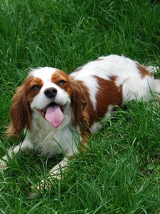 Fleur de sel du Clos de Gastofer